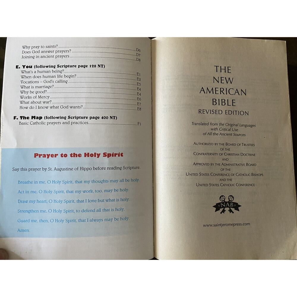 The Catholic Teen Bible StudyNAB Revised Edition Illustrated Inserts - Picture 6 of 16